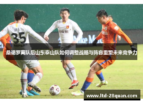 桑德罗离队后山东泰山队如何调整战略与阵容重塑未来竞争力