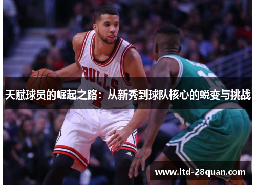 天赋球员的崛起之路：从新秀到球队核心的蜕变与挑战